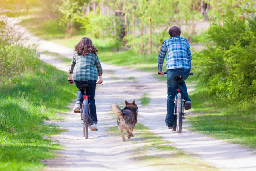 Fahrrad fahren mit dem Hund: So gelingt die gemeinsame Tour